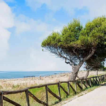 Comfortable Near The Promenade And Shops דירה